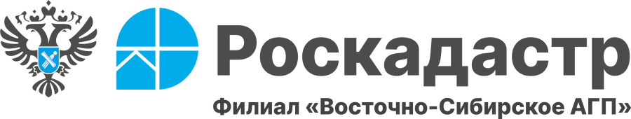 Филиал ППК «Роскадастр» «Восточно-Сибирское аэрогеодезическое предприятие»
